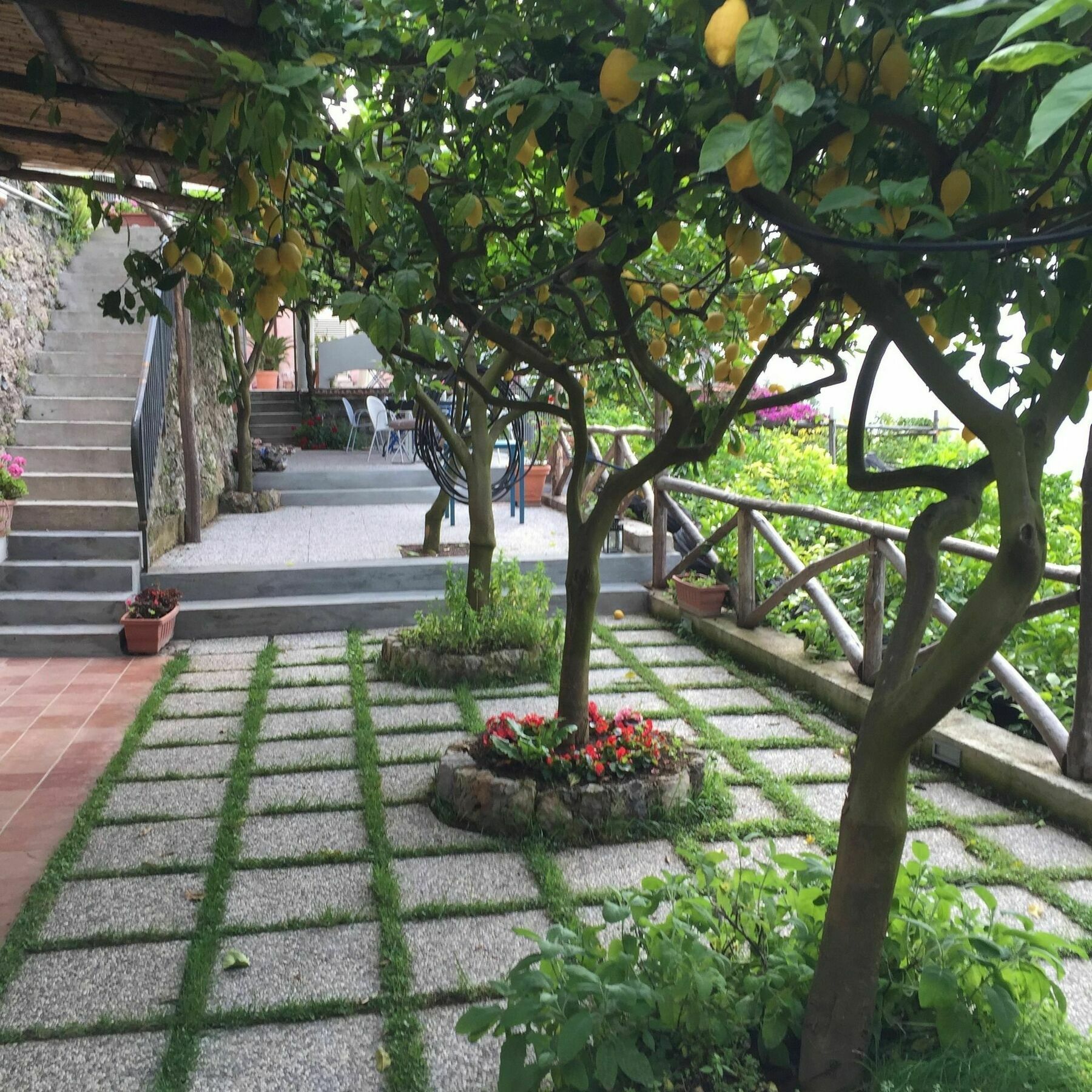 B&B I Limoni ราเวลโล ภายนอก รูปภาพ